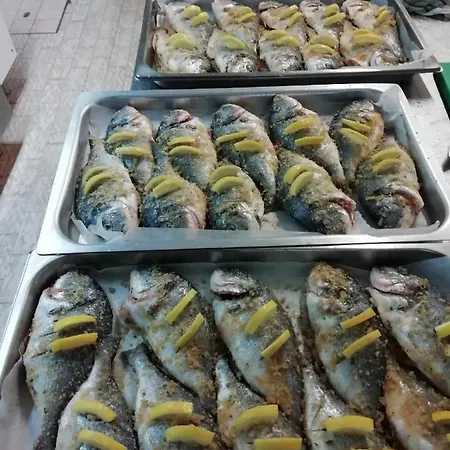 Colibri 카톨리카