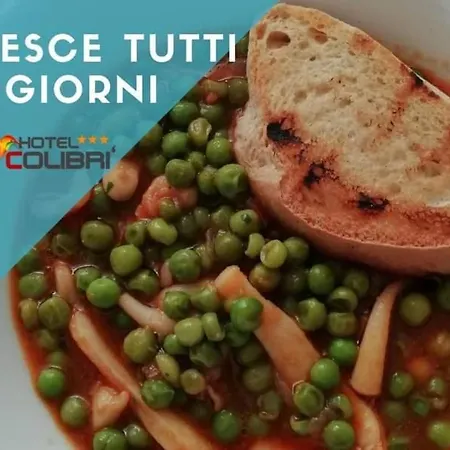Colibri Hotel