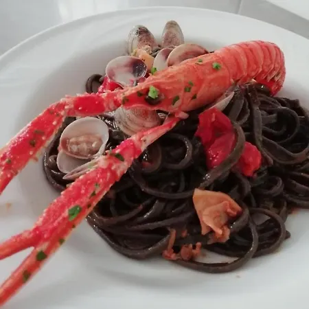 Colibri Hotel Cattolica