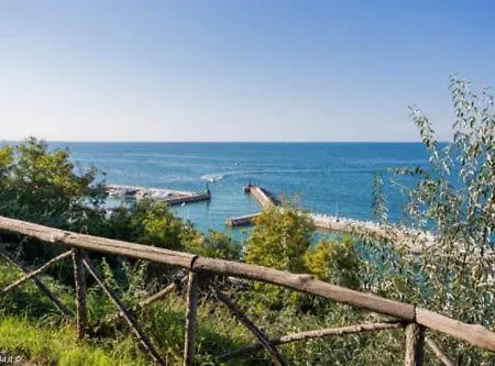 Colibri Hotel Cattolica