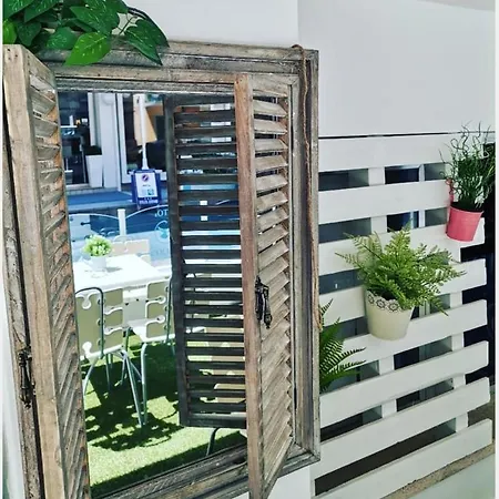 Colibri Каттолика