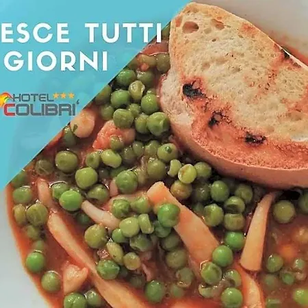 Colibri Hotel