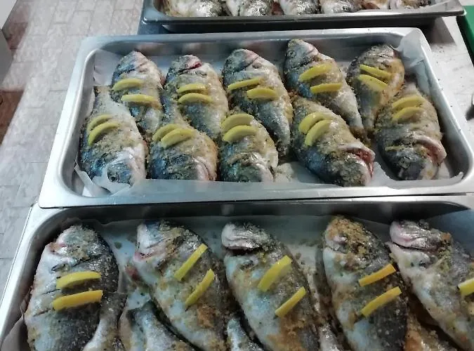 Colibri 카톨리카