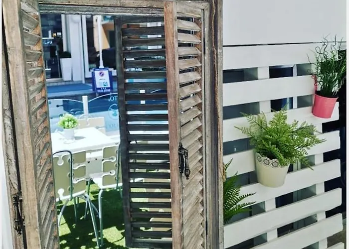 Colibri Каттолика